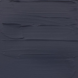 AAC EXP.75ML GRIS PAYNE 2