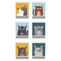 SECRET STICK PACK 2 H. FOTOS