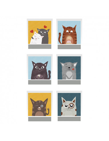 SECRET STICK PACK 2 H. FOTOS