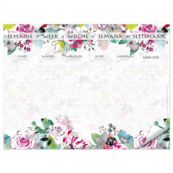 Bloom Bloc sem. encl 55h...