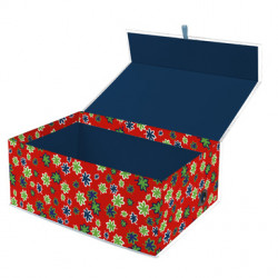 Ritour Caja rectg... 2