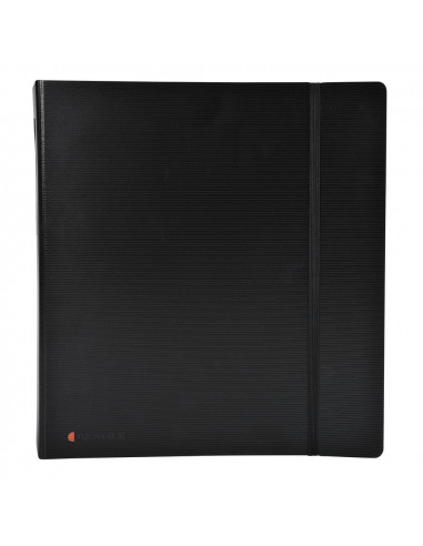 EXACTIVE ARCHIV.PALANCA EXAFILE