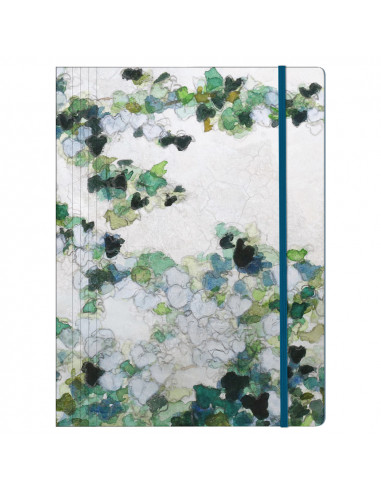 HEDERA CARPETA C/GOMAS 24X32