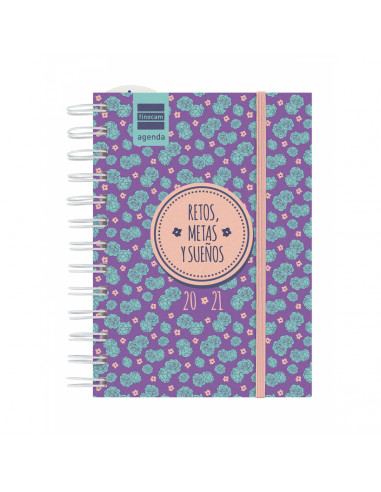 AGENDA ESCOLAR FINOCAM MINI INSTITUT...