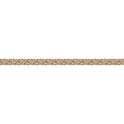 CAJA 2 CINTAS DECO FRUIT...