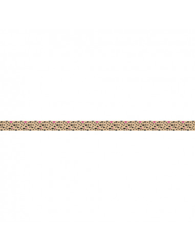 CAJA 2 CINTAS DECO FRUIT 1.5`+ 3CM