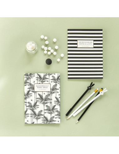 SET DE 2 CUADERNOS ALICE SCOTT