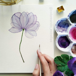 Clases semanales Acuarela... 2