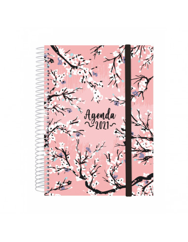 E10 AG.D/P IMPOSIBLE