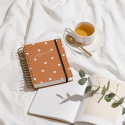 AGENDA CHARUCA DIA PÁGINA... 2