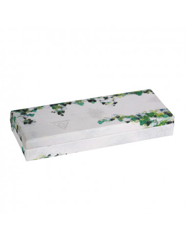 HEDERA PLUMIER 21X5,5X8