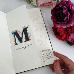 24 DE ABRIL: BULLET JOURNAL...