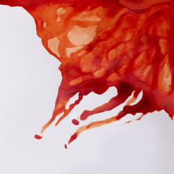 TINTA DE DIBUJO 14ml 074... 2