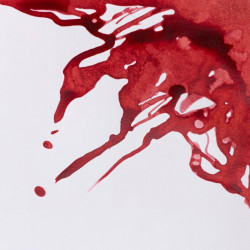 TINTA DE DIBUJO 14ml 040... 2