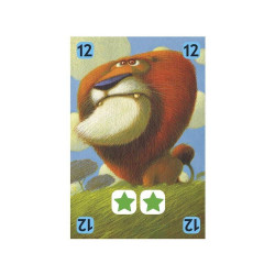 DJECO CARTAS SAVANA 2