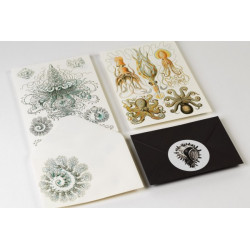 SET PARA ESCRIBIR CARTAS... 2