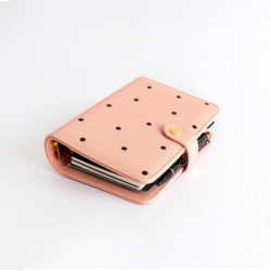 PLANNER 6 ANILLAS CHARUCA... 2