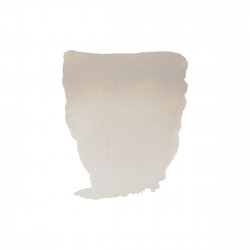 ACUARELA REMBRANDT BUFF... 2