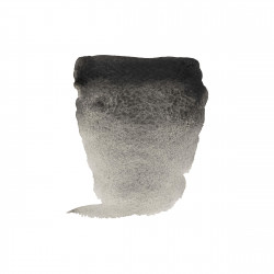 ACUARELA REMBRANDT NEGRO... 2