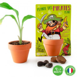 CREA TU PLANTA PIRATA BANANA 2