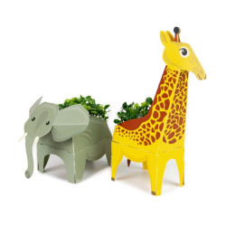 CREA TU PLANTA POP UP... 2