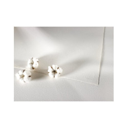 BLOC ARCHES AC GF  BLC4... 2