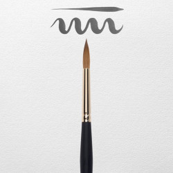 PINCEL REMBRANDT 110/10 2