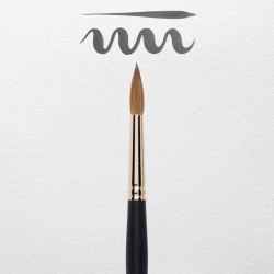 PINCEL REMBRANDT 110/12 2