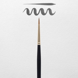 PINCEL REMBRANDT 110/2 2