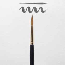 PINCEL REMBRANDT 110/6 2