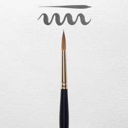 PINCEL REMBRANDT 110/8 2