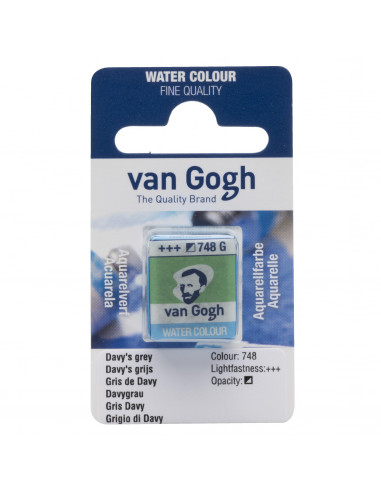 ACUARELA VAN GOGH PAST 748 GRIS DAVY