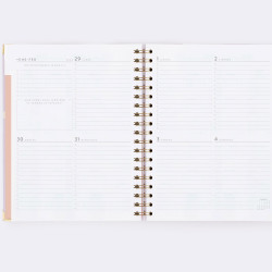 AGENDA VISTA SEMANAL... 2