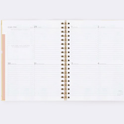 AGENDA VISTA SEMANAL... 2