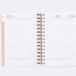 AGENDA VISTA DÍA PÁGINA... 2