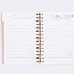 AGENDA VISTA DÍA PÁGINA... 2