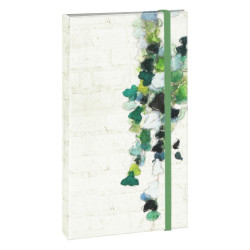 HEDERA ORGANIZADOR...