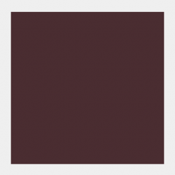 GOUACHE FR.50ML T.SOMBRA TOST 2