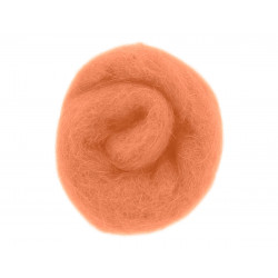 FIELTRO DE LANA FELTHU... 2