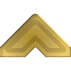 PHOTO CORNERS CLASSIC ORO 2