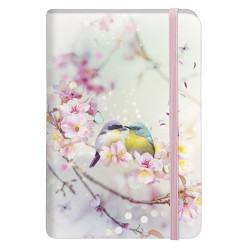 CUADERNO CHCHA TAPA DURA A6...