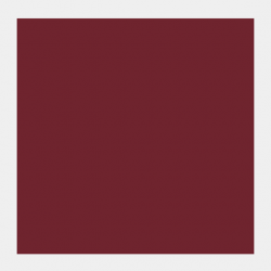 GOUACHE 20ML T.SIENA TOST 2
