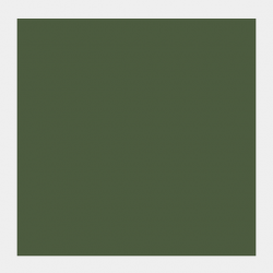 GOUACHE 20ML VERDE OLIVA 2