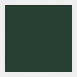 GOUACHE 20ML VERDE PINO 2