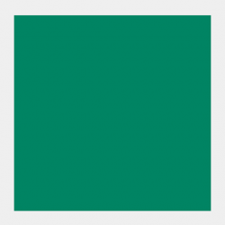 GOUACHE 20ML VERDE TURQ. 2