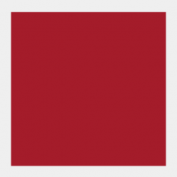GOUACHE 20ML ESCARLATA 2