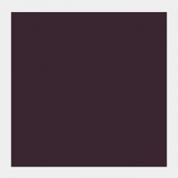 GOUACHE 20ML SEPIA 2