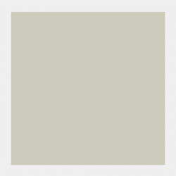 GOUACHE 20ML PLATA 2