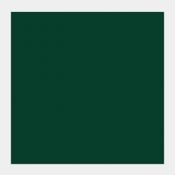 COBRA ART 40ML VERDE VEJIGA 2