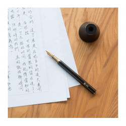 Estilográfica de Mesa Latón... 2